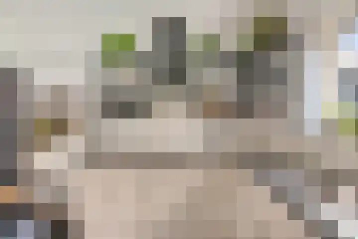 Schoterweg 17 Rotstergaast thumbnail 39