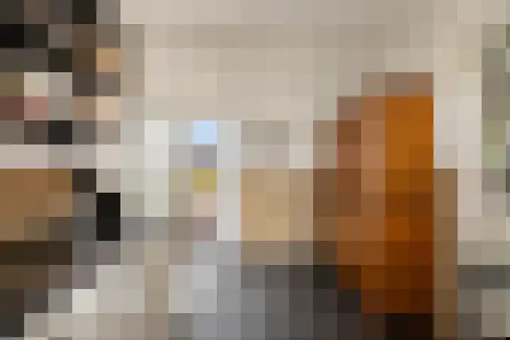 Schoterweg 17 Rotstergaast thumbnail 40