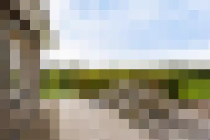 Schoterweg 17 Rotstergaast thumbnail 42