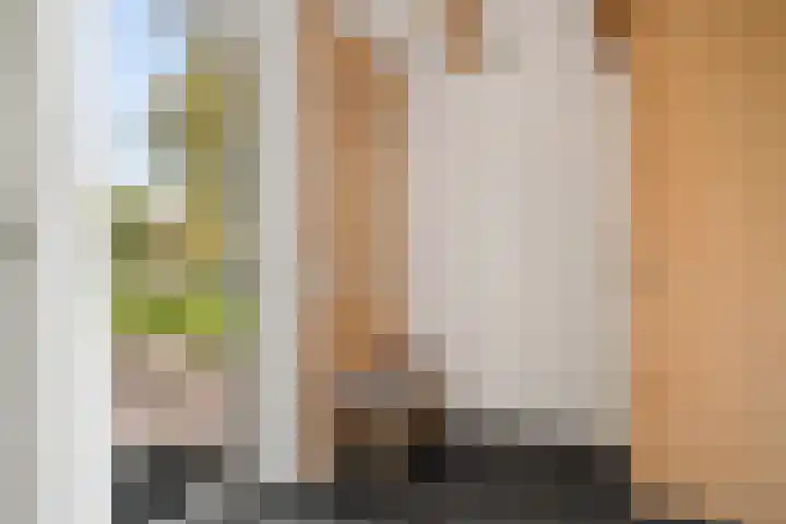 Schoterweg 17 Rotstergaast thumbnail 44