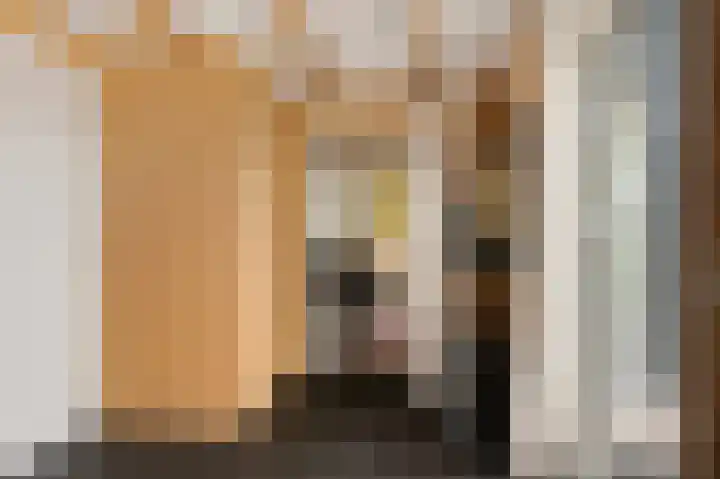 Schoterweg 17 Rotstergaast thumbnail 45