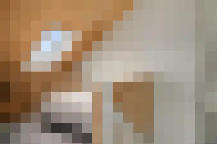 Schoterweg 17 Rotstergaast thumbnail 51