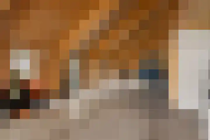 Schoterweg 17 Rotstergaast thumbnail 52