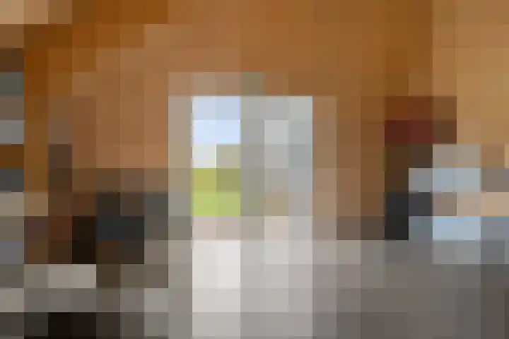 Schoterweg 17 Rotstergaast thumbnail 53