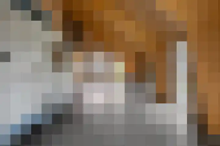 Schoterweg 17 Rotstergaast thumbnail 54