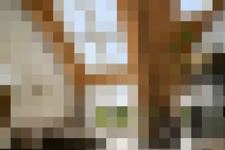 Schoterweg 17 Rotstergaast thumbnail 59