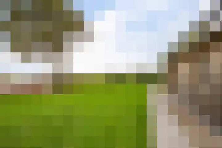 Schoterweg 17 Rotstergaast thumbnail 6