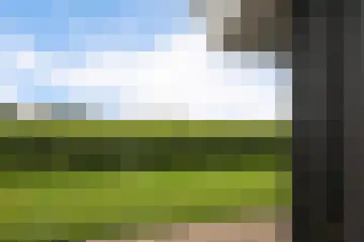 Schoterweg 17 Rotstergaast thumbnail 62
