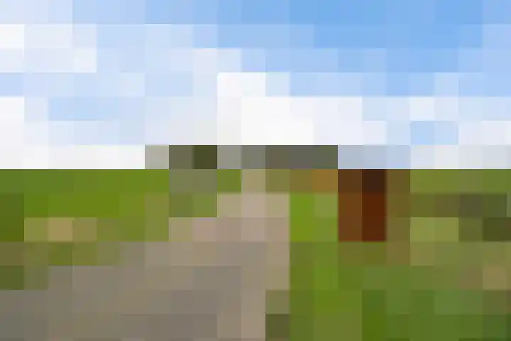 Schoterweg 17 Rotstergaast thumbnail 63
