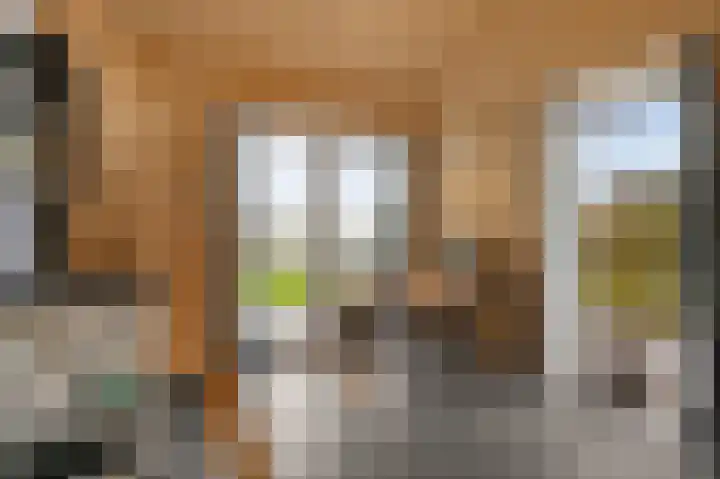 Schoterweg 17 Rotstergaast thumbnail 66