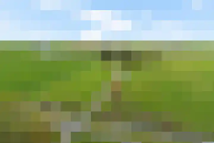 Schoterweg 17 Rotstergaast thumbnail 69