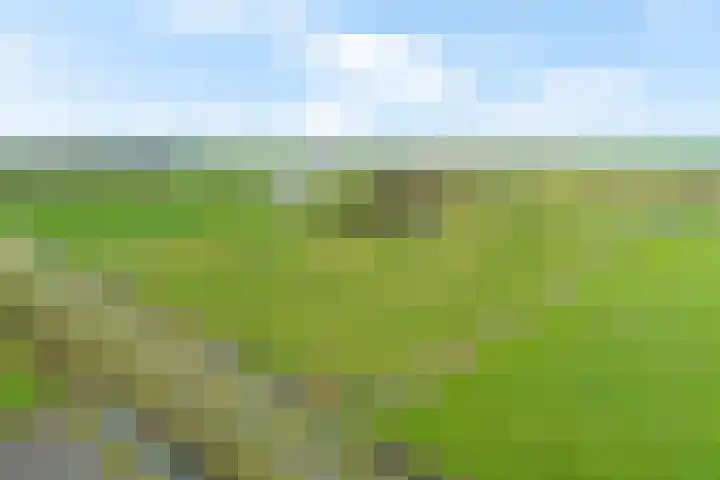 Schoterweg 17 Rotstergaast thumbnail 70