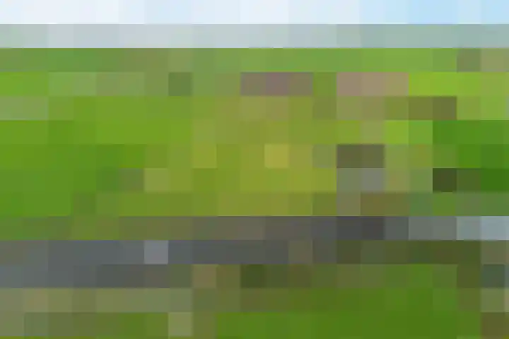 Schoterweg 17 Rotstergaast thumbnail 71