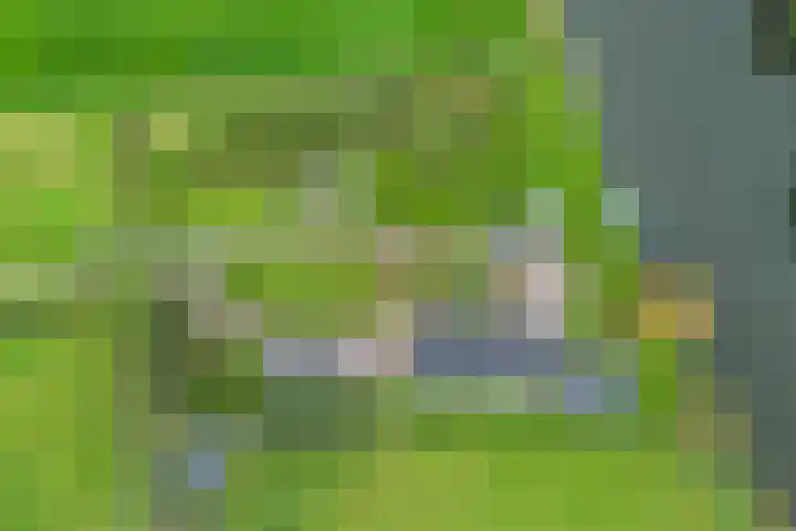 Schoterweg 17 Rotstergaast thumbnail 72