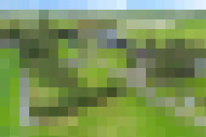 Schoterweg 17 Rotstergaast thumbnail 73