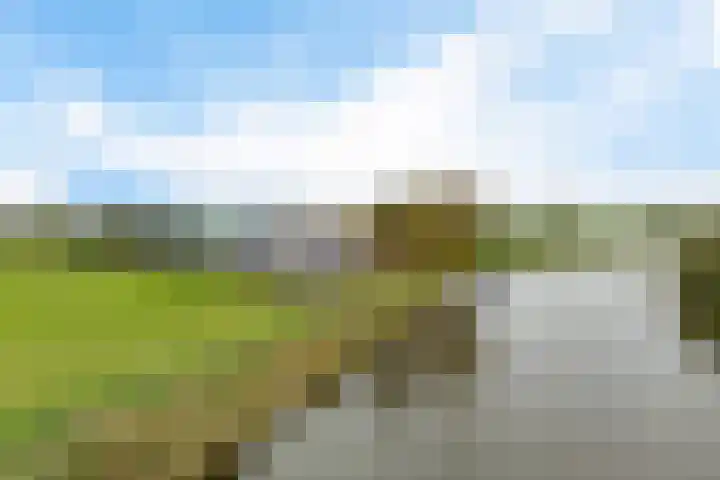 Schoterweg 17 Rotstergaast thumbnail 74