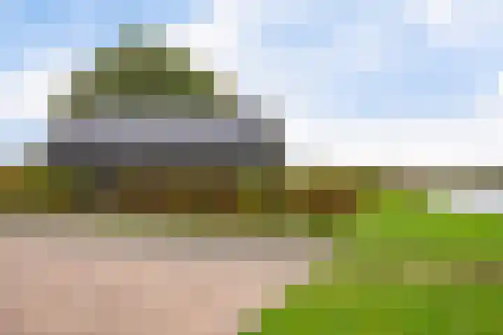 Schoterweg 17 Rotstergaast thumbnail 8