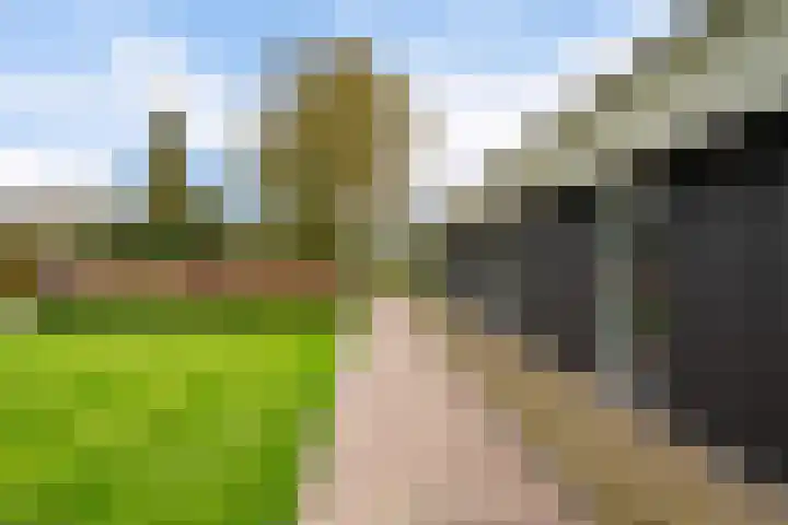 Schoterweg 17 Rotstergaast thumbnail 9
