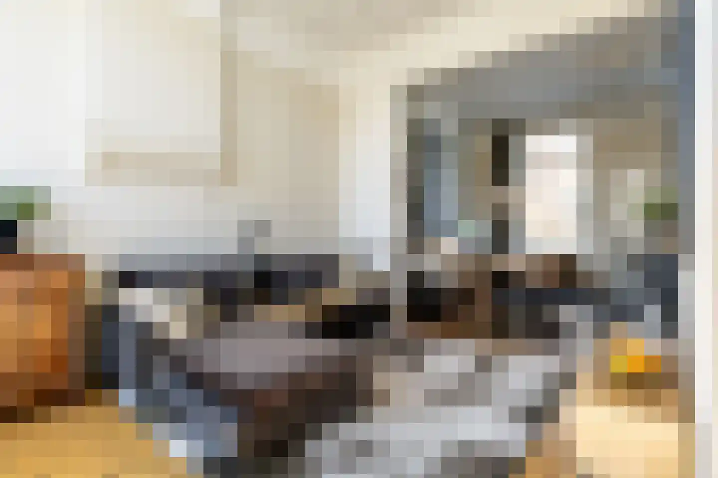 Schoterweg 20 Haarlem thumbnail 12