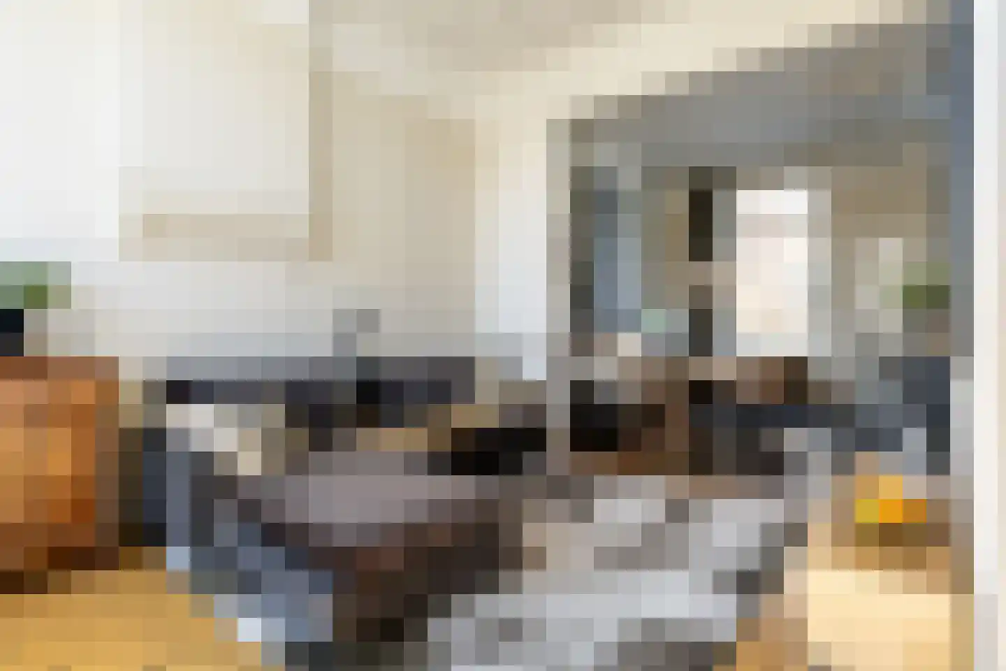 Schoterweg 20 Haarlem thumbnail 13