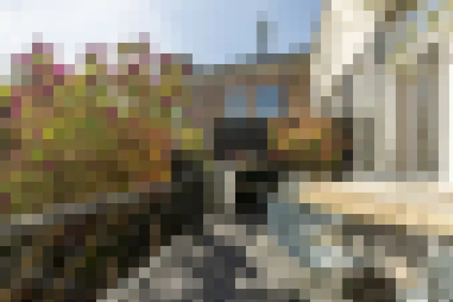 Schoterweg 20 Haarlem thumbnail 18