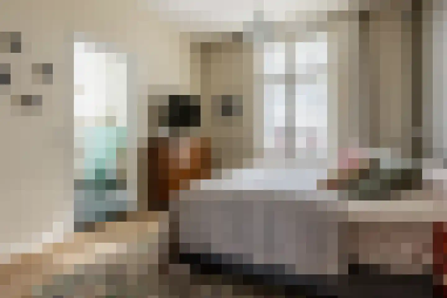 Schoterweg 20 Haarlem thumbnail 20