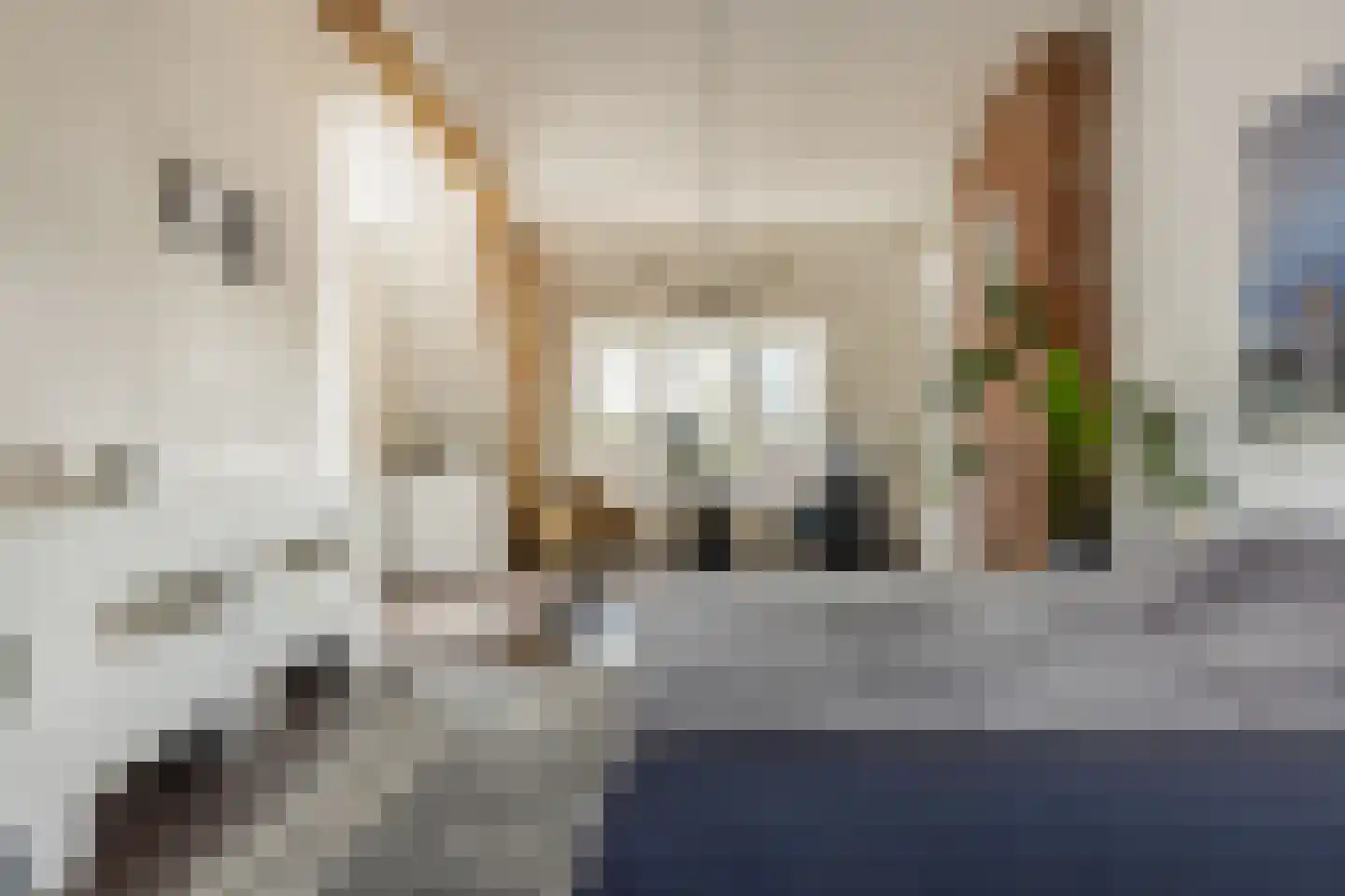 Schoterweg 20 Haarlem thumbnail 26