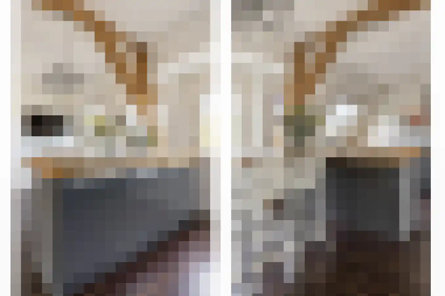 Schoterweg 20 Haarlem thumbnail 31