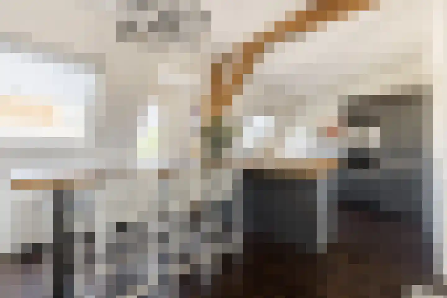 Schoterweg 20 Haarlem thumbnail 32