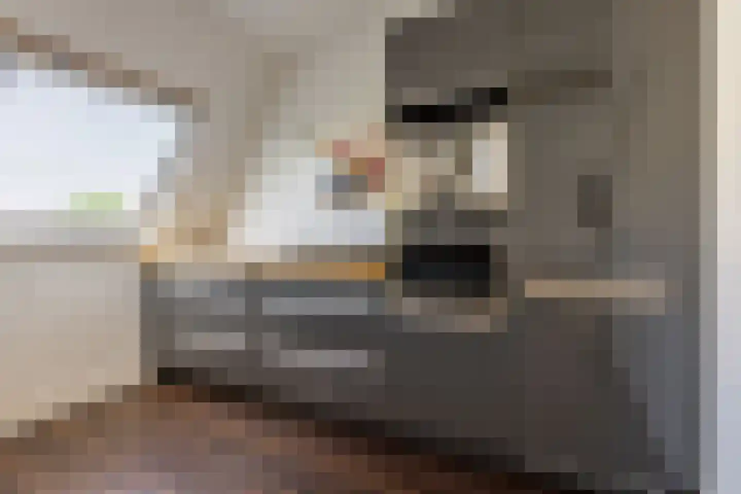 Schoterweg 20 Haarlem thumbnail 33