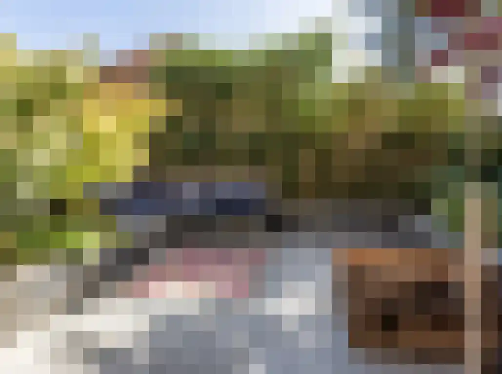Schoterweg 20 Haarlem thumbnail 36