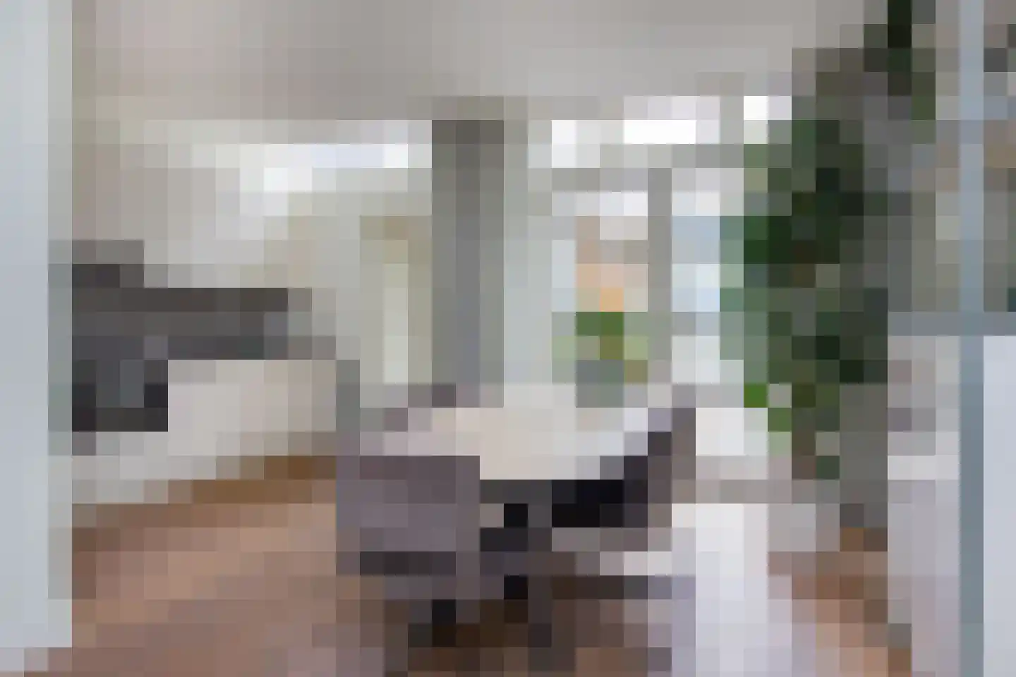 Schoterweg 214 Haarlem thumbnail 11
