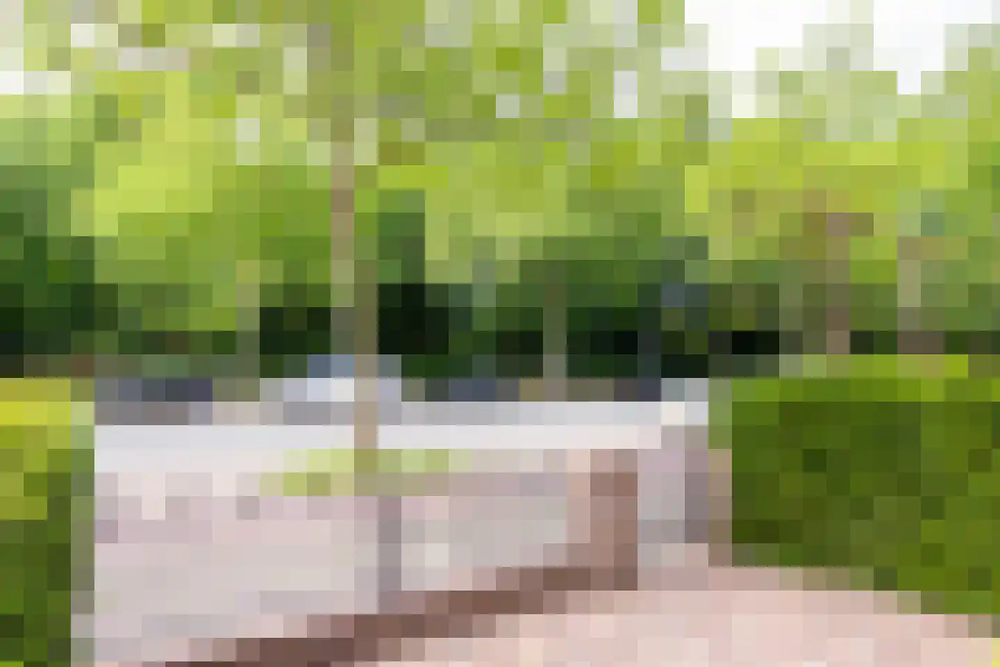 Schoterweg 214 Haarlem thumbnail 33