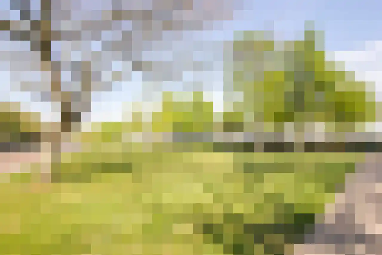 Schoterweg 214 Haarlem thumbnail 36
