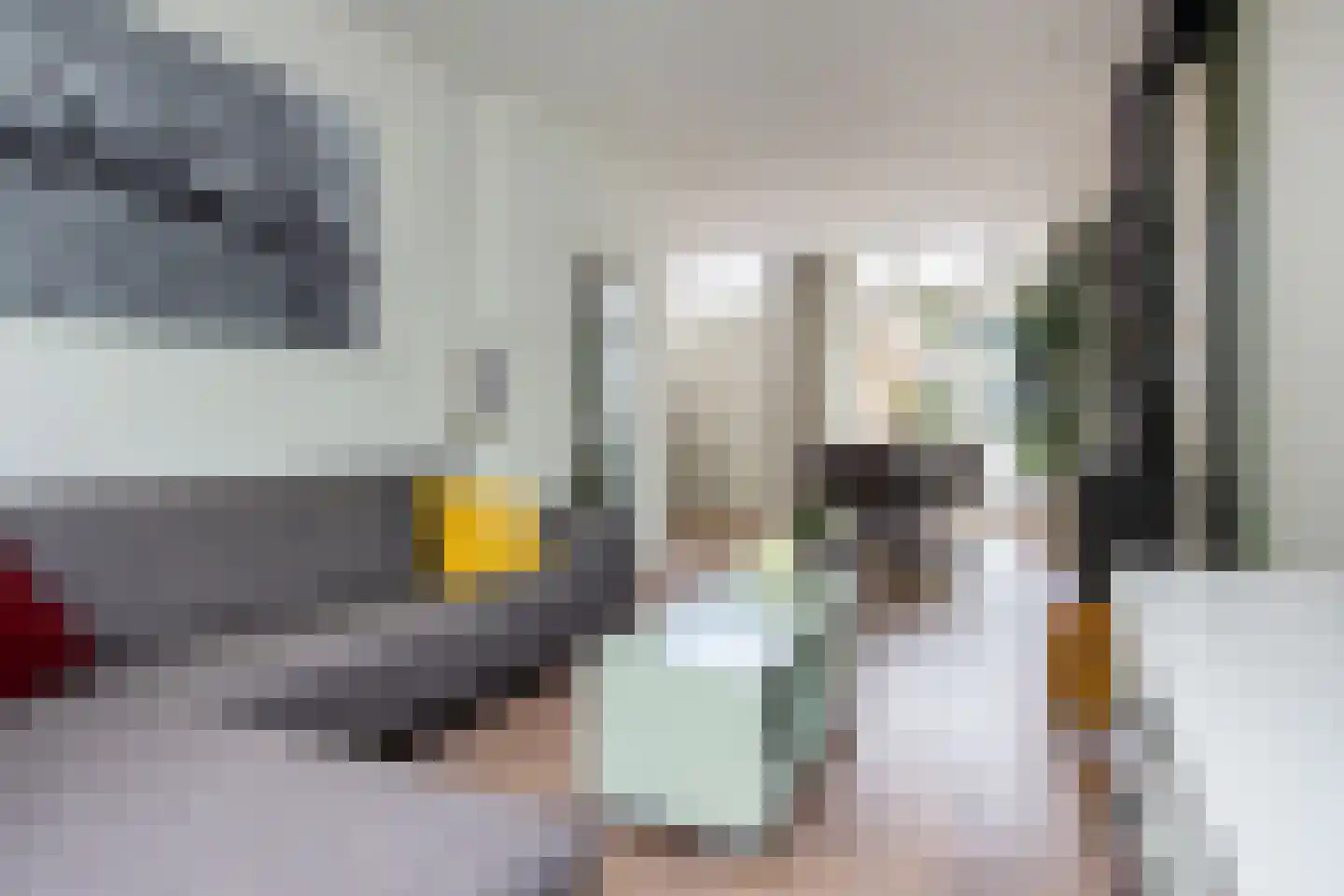 Schoterweg 214 Haarlem thumbnail 9