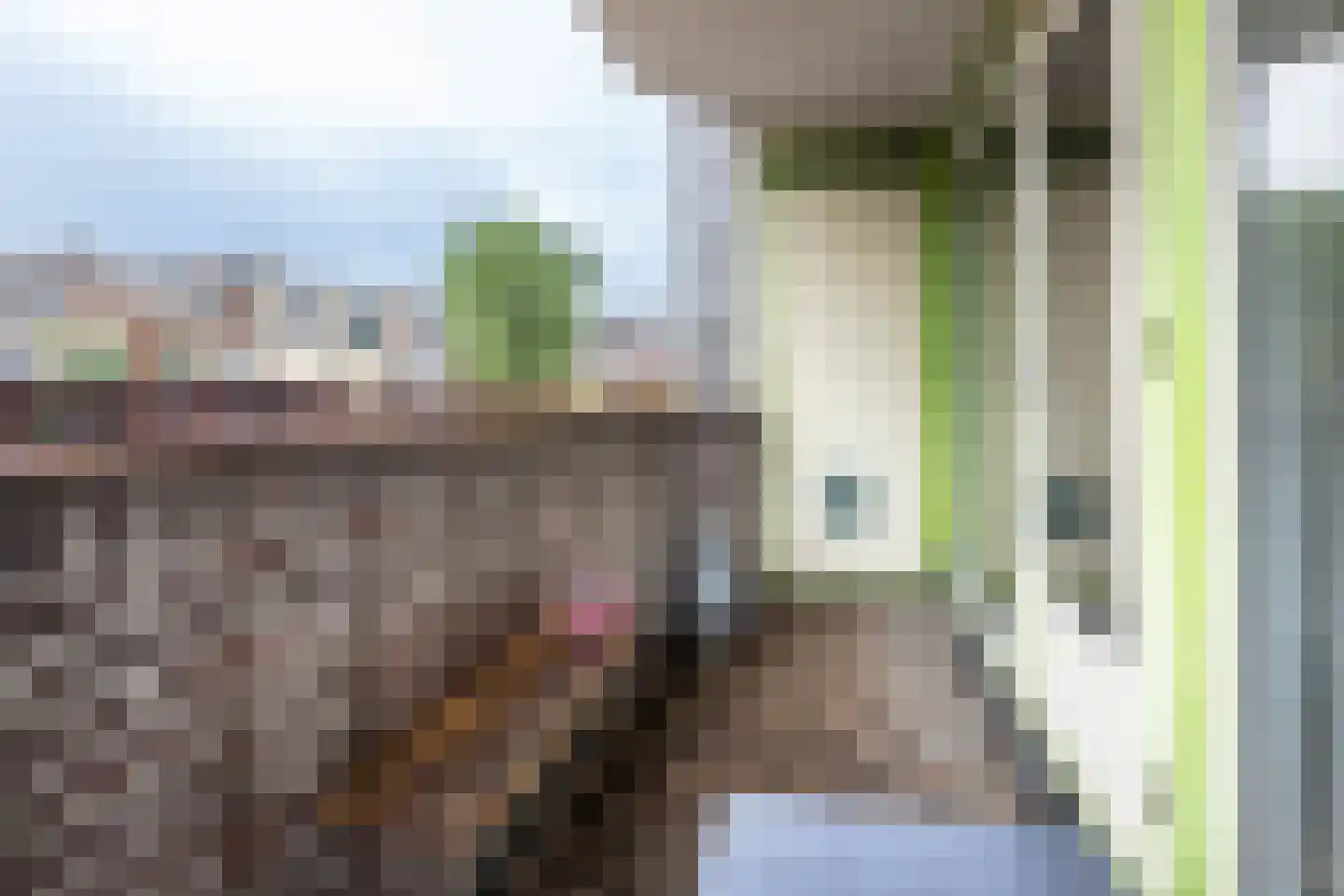 Schoterweg 31 A Haarlem thumbnail 21
