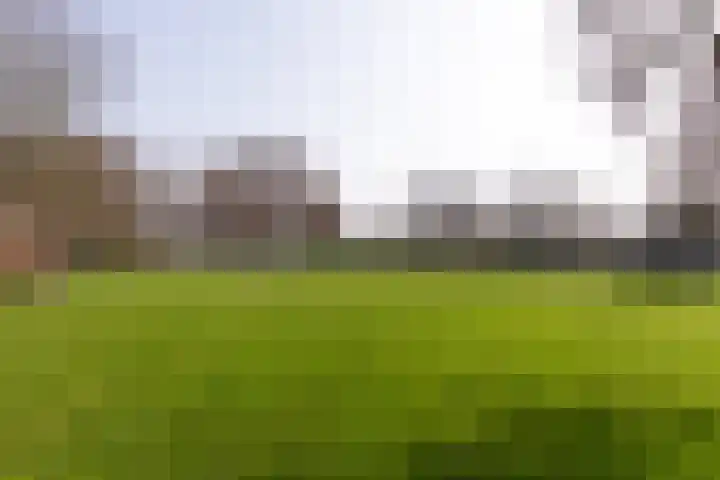 Schoterweg 31 C Haarlem thumbnail 23
