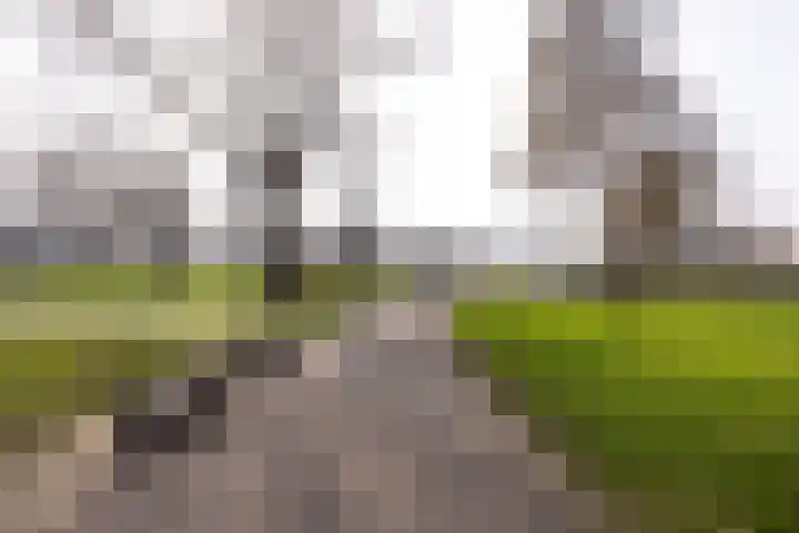 Schoterweg 31 C Haarlem thumbnail 26