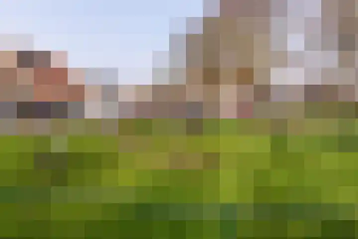 Schoterweg 31 C Haarlem thumbnail 28