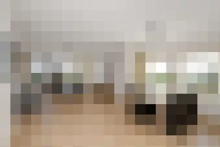 Schoterweg 38 Rotstergaast thumbnail 10