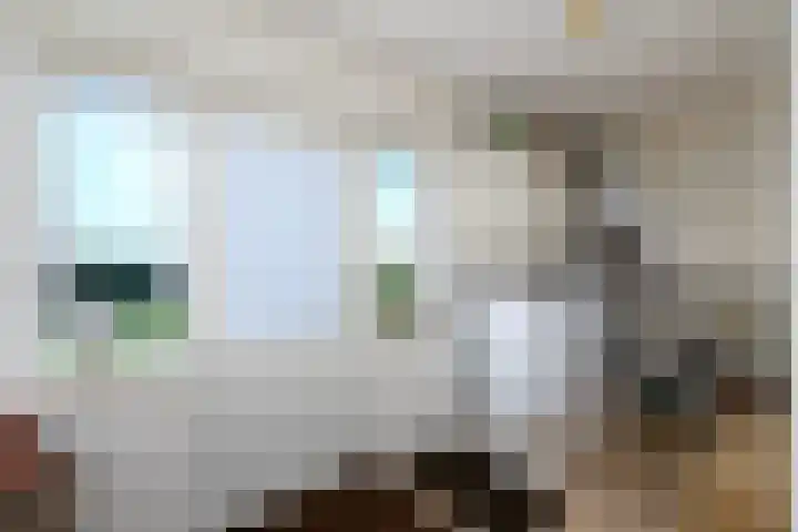 Schoterweg 38 Rotstergaast thumbnail 15