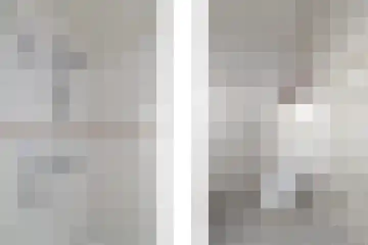 Schoterweg 38 Rotstergaast thumbnail 22