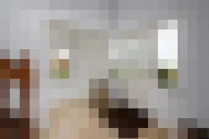 Schoterweg 38 Rotstergaast thumbnail 24