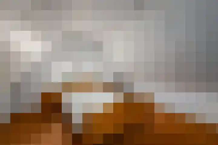 Schoterweg 38 Rotstergaast thumbnail 25