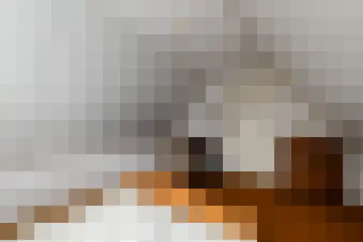 Schoterweg 38 Rotstergaast thumbnail 26
