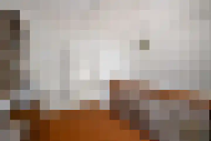 Schoterweg 38 Rotstergaast thumbnail 27