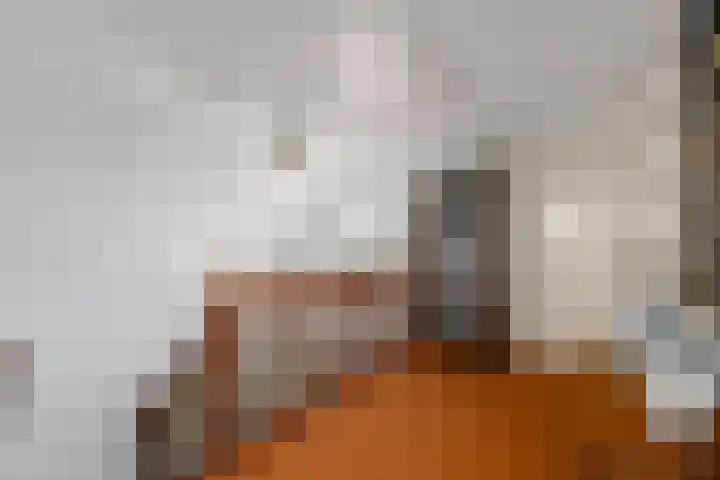 Schoterweg 38 Rotstergaast thumbnail 28