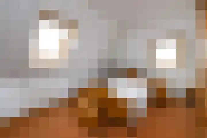 Schoterweg 38 Rotstergaast thumbnail 30
