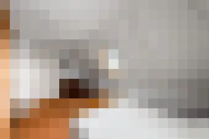 Schoterweg 38 Rotstergaast thumbnail 32