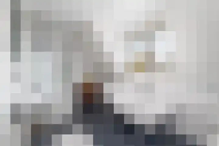 Schoterweg 38 Rotstergaast thumbnail 33